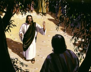 zacchaeus